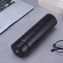 Sleak LED Temperature Display Water Bottle 